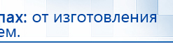 Электрод Скэнар - лицевой двойной Пешки купить в Невинномысске, Электроды Скэнар купить в Невинномысске, Нейродэнс ПКМ официальный сайт - denasdevice.ru